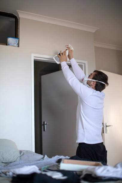 Best Real Estate Mold Inspection  in Scanlon, MN