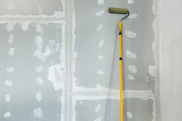 Best Forensic Mold Investigation  in Scanlon, MN
