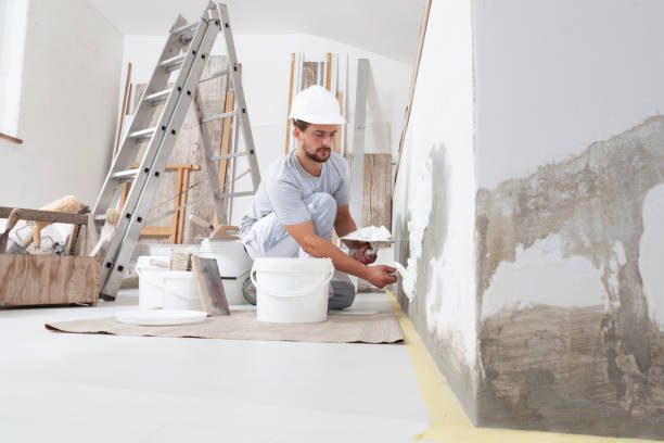 Best Comprehensive Air Testing for Mold Contaminants  in Scanlon, MN