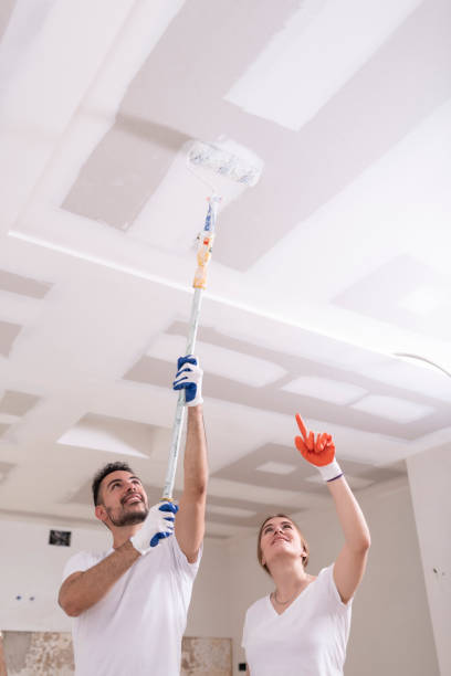 Best Mold Odor Removal Services  in Scanlon, MN