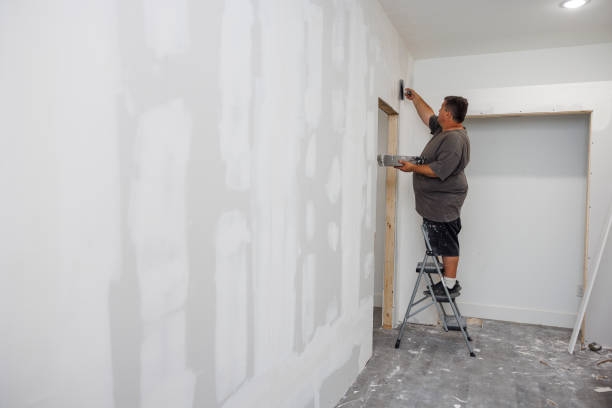 Best Mold Remediation for Healthcare Facilities  in Scanlon, MN