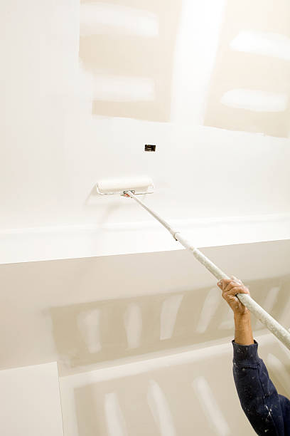 Best Basement Mold Removal  in Scanlon, MN