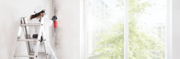 Best Air Quality Testing for Mold Spores  in Scanlon, MN